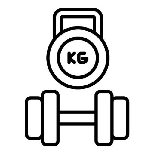 Weights Set Icon