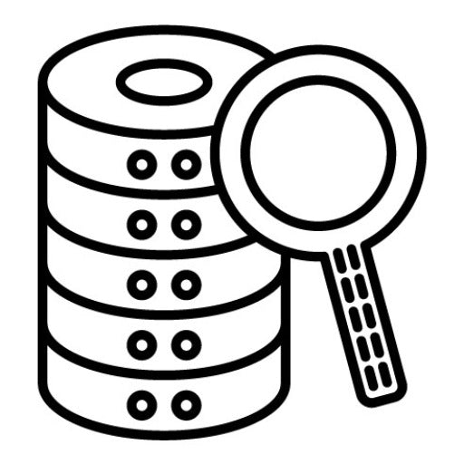 Database Search Icon