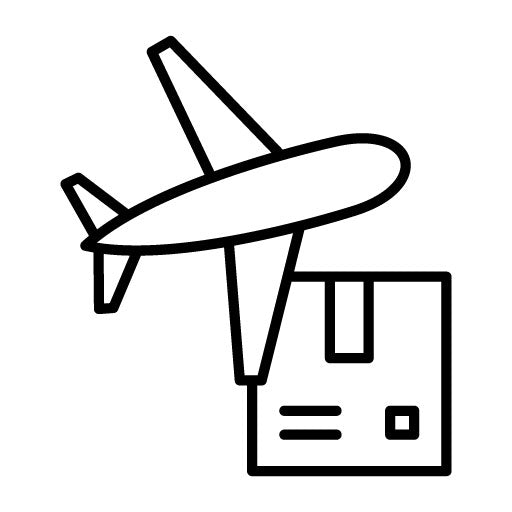 Worldwide Shipping Air Icon