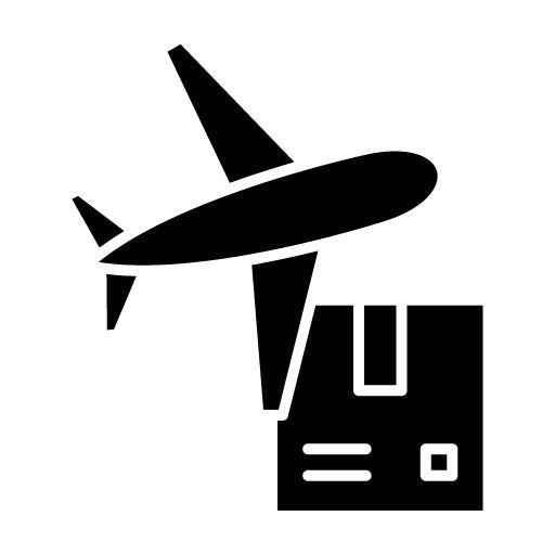 Worldwide Shipping Air Glyph Icon