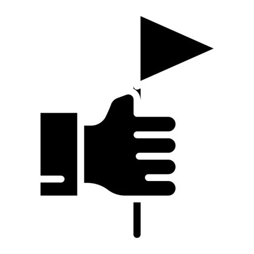 Capture The Flag Glyph Icon
