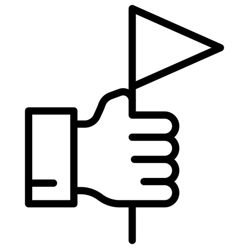 Capture The Flag Icon