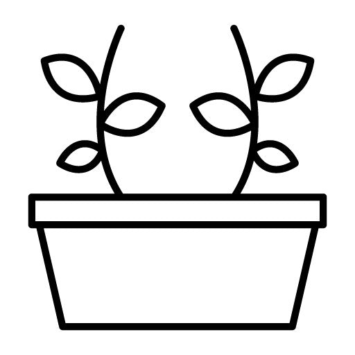 Botanical Icon