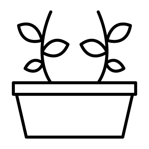 Botanical Icon