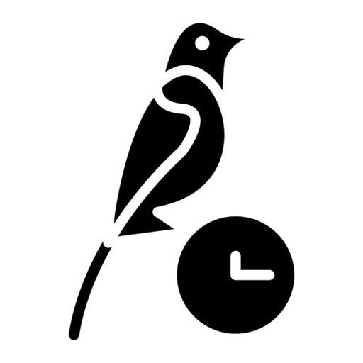 Early Bird Glyph Icon