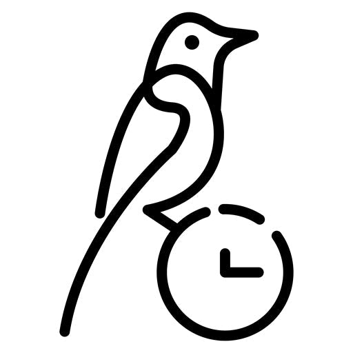 Early Bird Icon