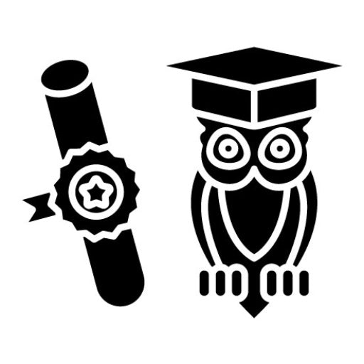 Wisdom Glyph Icon | Online Education