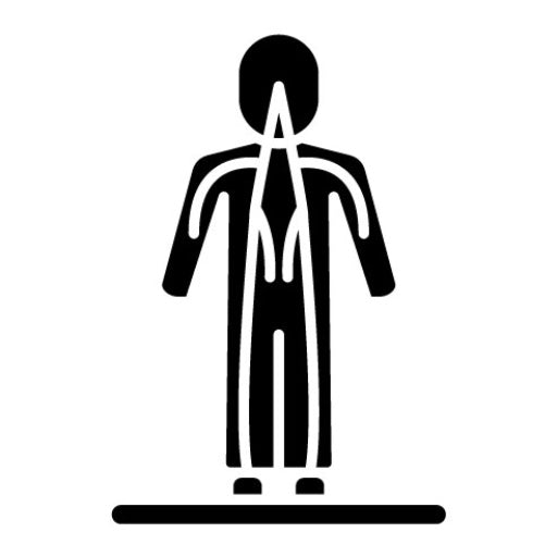 Body���S Meridians Glyph Icon