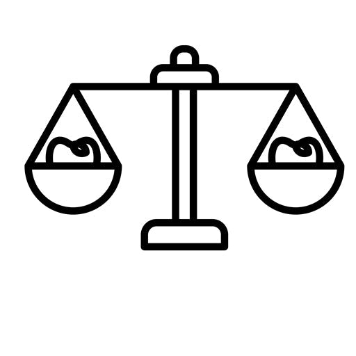 Balanced Diet Icon