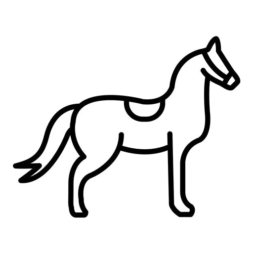 Ride Icon