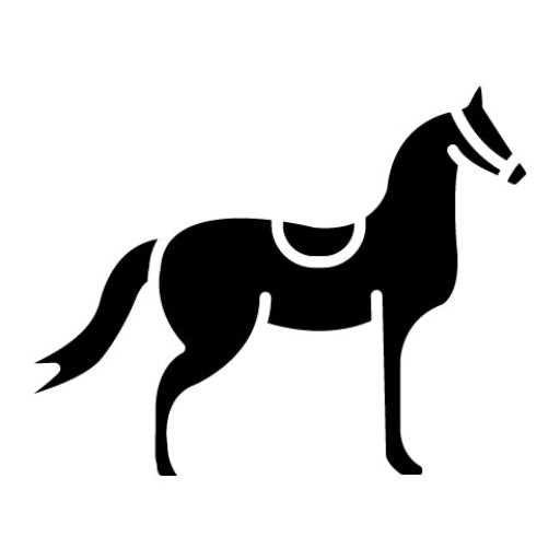 Ride Glyph Icon