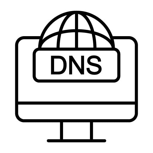 DNS Icon