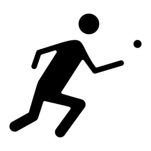 Picigin Glyph Icon