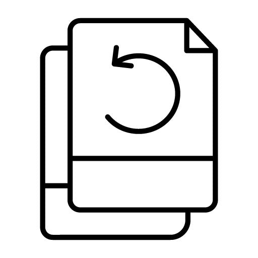 File Backup Icon