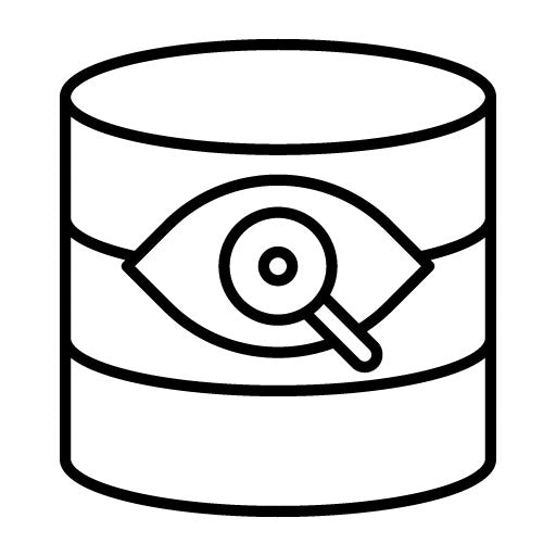 Database Vision Icon