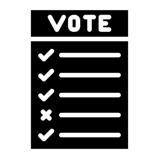 Ballot Paper Glyph Icon
