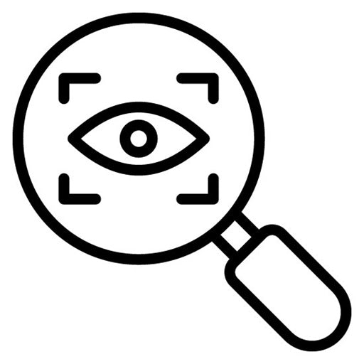 Big Brother Icon