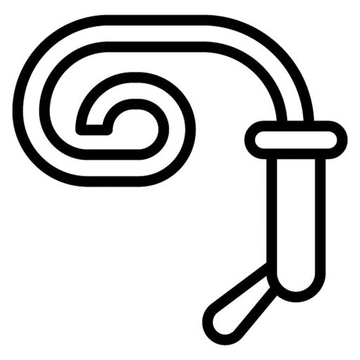 Whip Icon | Politics