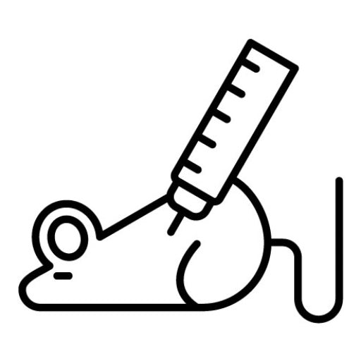 Test Mouse Icon