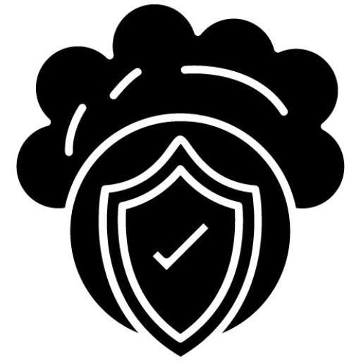 Safety Glyph Icon | Web Hosting
