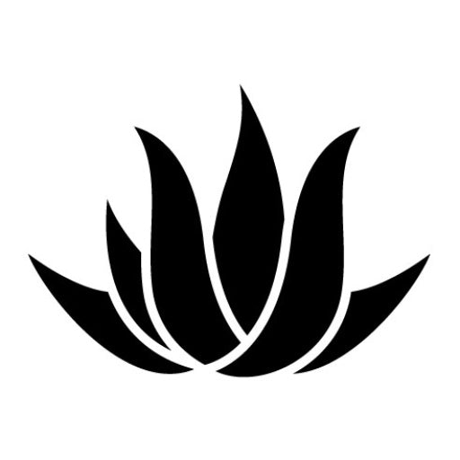 Aloe Vera Glyph Icon | Gardening