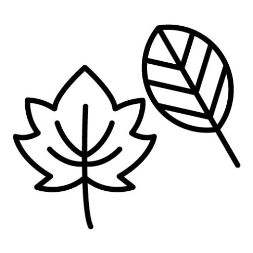 Autumn Leaves Icon
