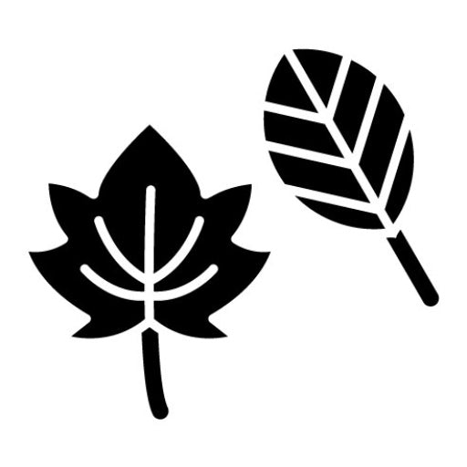 Autumn Leaves Glyph Icon