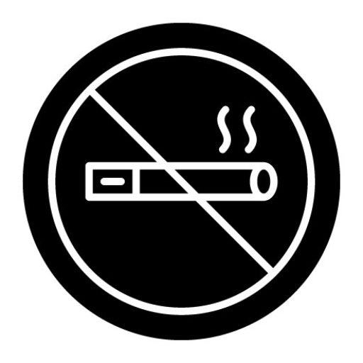 No Smoking Glyph Icon