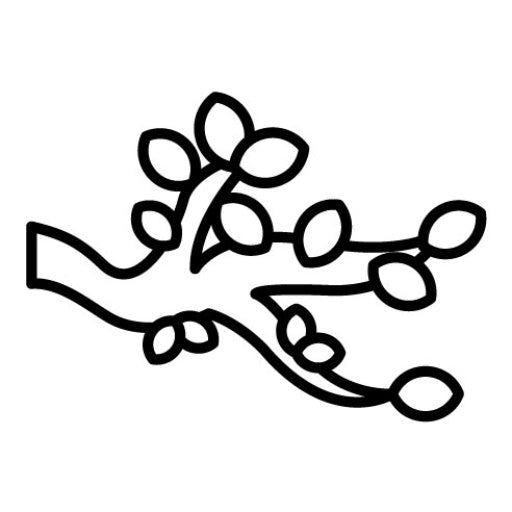 Branch Icon