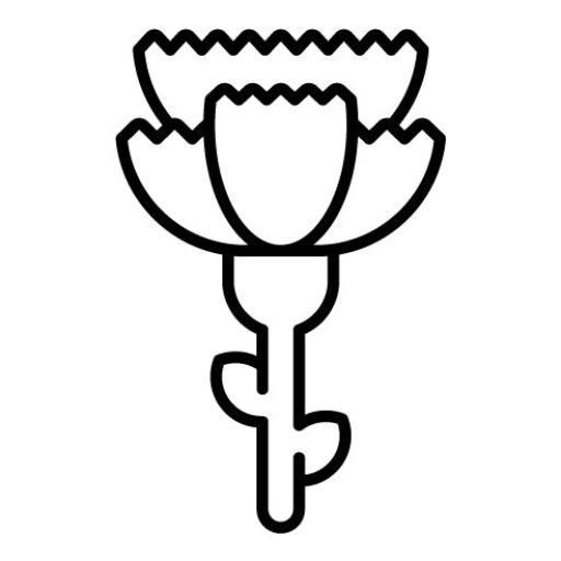 Carnation Icon
