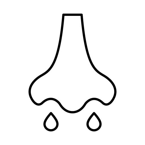 Running Nose Icon