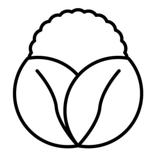 Lettuce Icon | Gardening