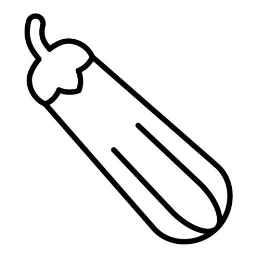 Zucchini Icon | Gardening