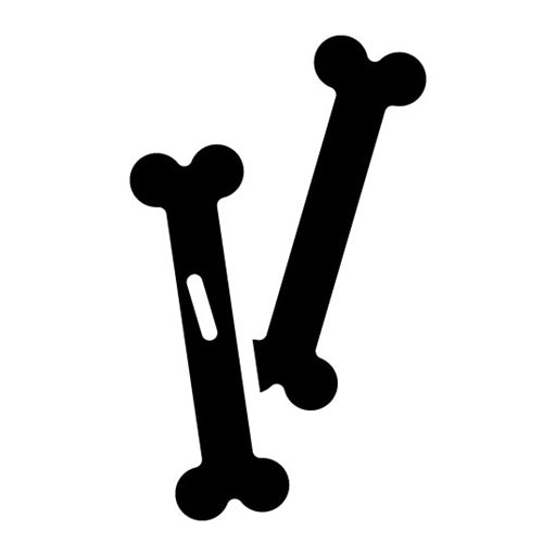 Bones Glyph Icon | Museum