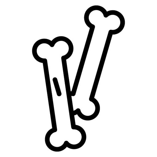 Bones Icon | Museum