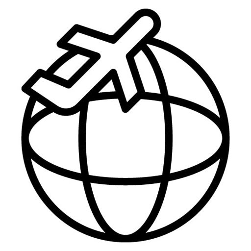 International Flight Icon