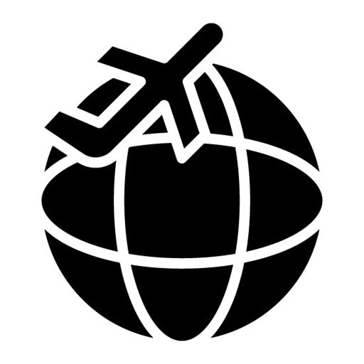 International Flight Glyph Icon