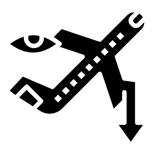Red Eye Flight Glyph Icon