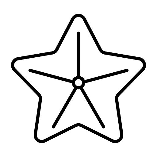 Starfish Icon