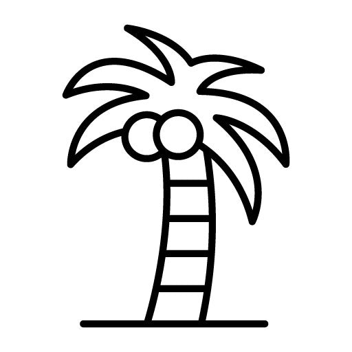 Coconut Tree Icon