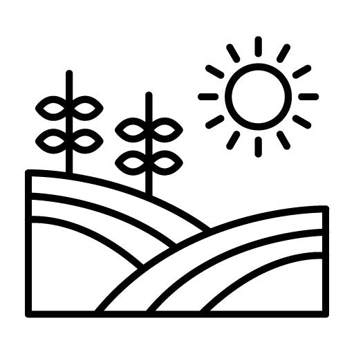 Field Icon | Village