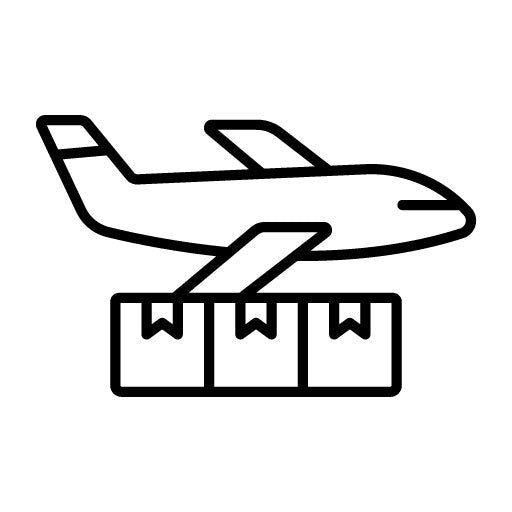 Air Freight Icon | Shipping