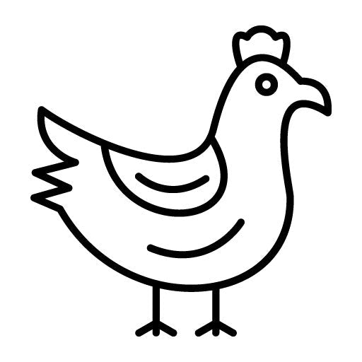 Chicken Icon