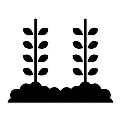 Wheat Plantation Glyph Icon