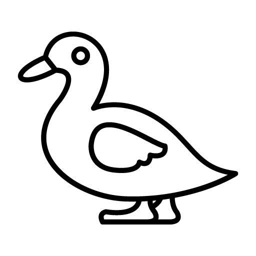 Duck Icon