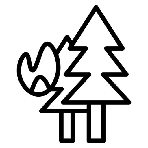 Wildfire Icon | Emergency Service