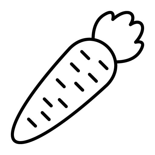 Carrots Icon | Village