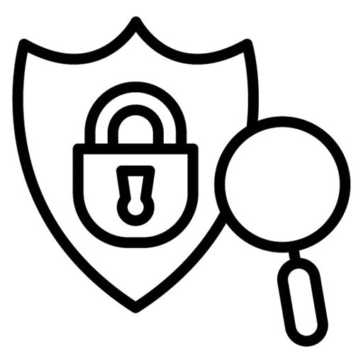 Privacy Audit Icon