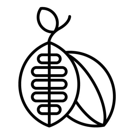 Cacao Icon