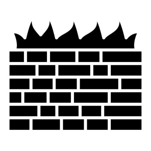 Computer Firewall Glyph Icon